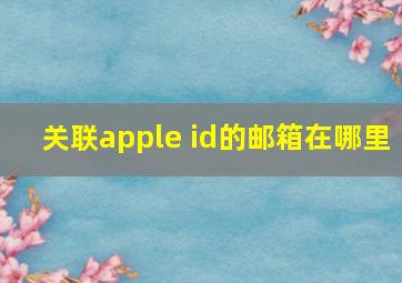 关联apple id的邮箱在哪里